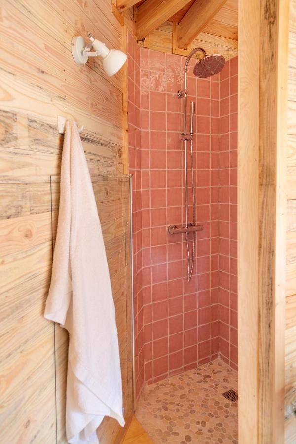 Suite Estándar